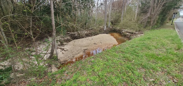 [Two Mile Branch downstream of Berkley Drive, 14:28:55, 30.8633384, -83.3017028]