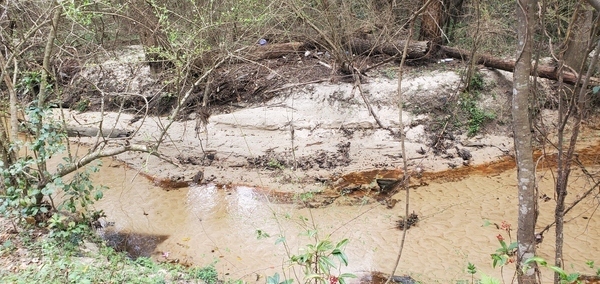 [Trash and Two Mile Branch upstream at Berkley Drive, 14:45:38, 30.8626130, -83.3021740]