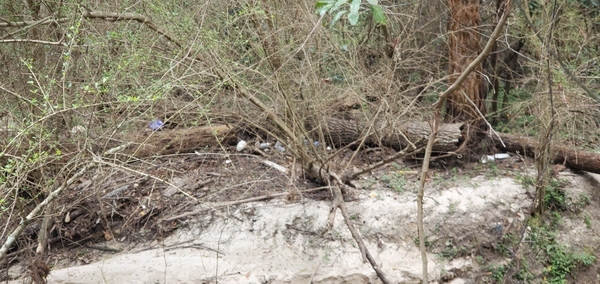 [Upstream culvert, Lee Street, 14:45:41, 30.8626130, -83.3021740]