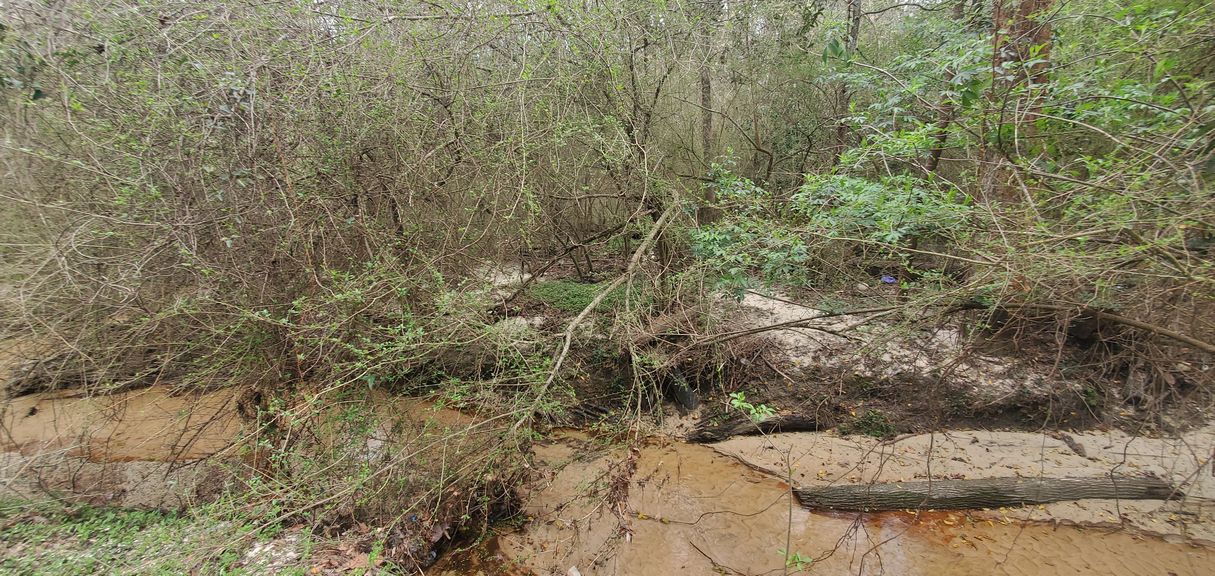 Trash with Two Mile Branch upstream at Berkley Drive, 14:25:37, 30.8630228, -83.3018271