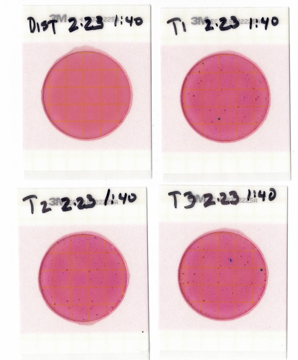 [Plates, Troupville Boat Ramp 2023-02-23]