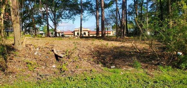 [Trash at Two Mile Branch with Rodeo restaurant in background, 2023:03:24 09:45:45, 30.8674982, -83.2861608]