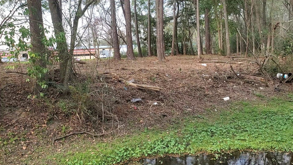 [Tillman/Budd Investments LLC trash into Two Mile Branch upstream from Ashley Street 2023-02-28]