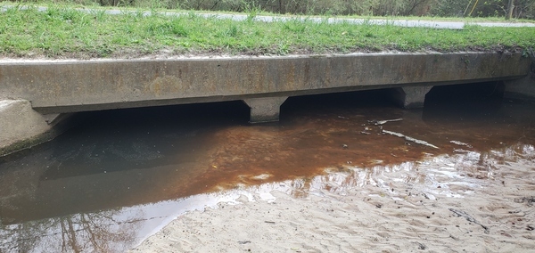 Downstream culvert, Two Mile Branch at Berkley Drive 14:42:58, 30.8634340, -83.3019160