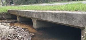 [Upstream culvert, Two Mile Branch at Berkley Drive, 14:52:13, 30.8633779, -83.3018921]