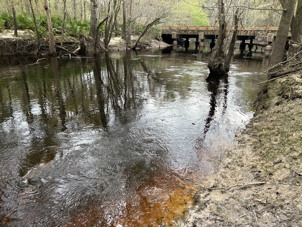 [Franklinville, Withlacoochee River @ Frankinville Road 2023-03-02]