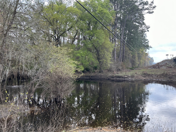 [Skipper Bridge Bridge, Withlacoochee River @ Skipper Bridge Road 2023-03-02]