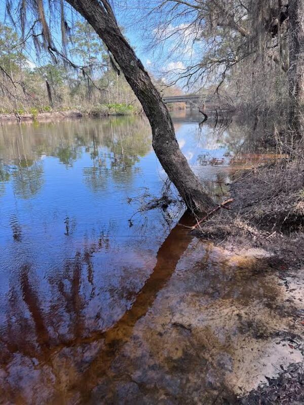 [Naylor Beach, Alapaha River 2023-02-26]