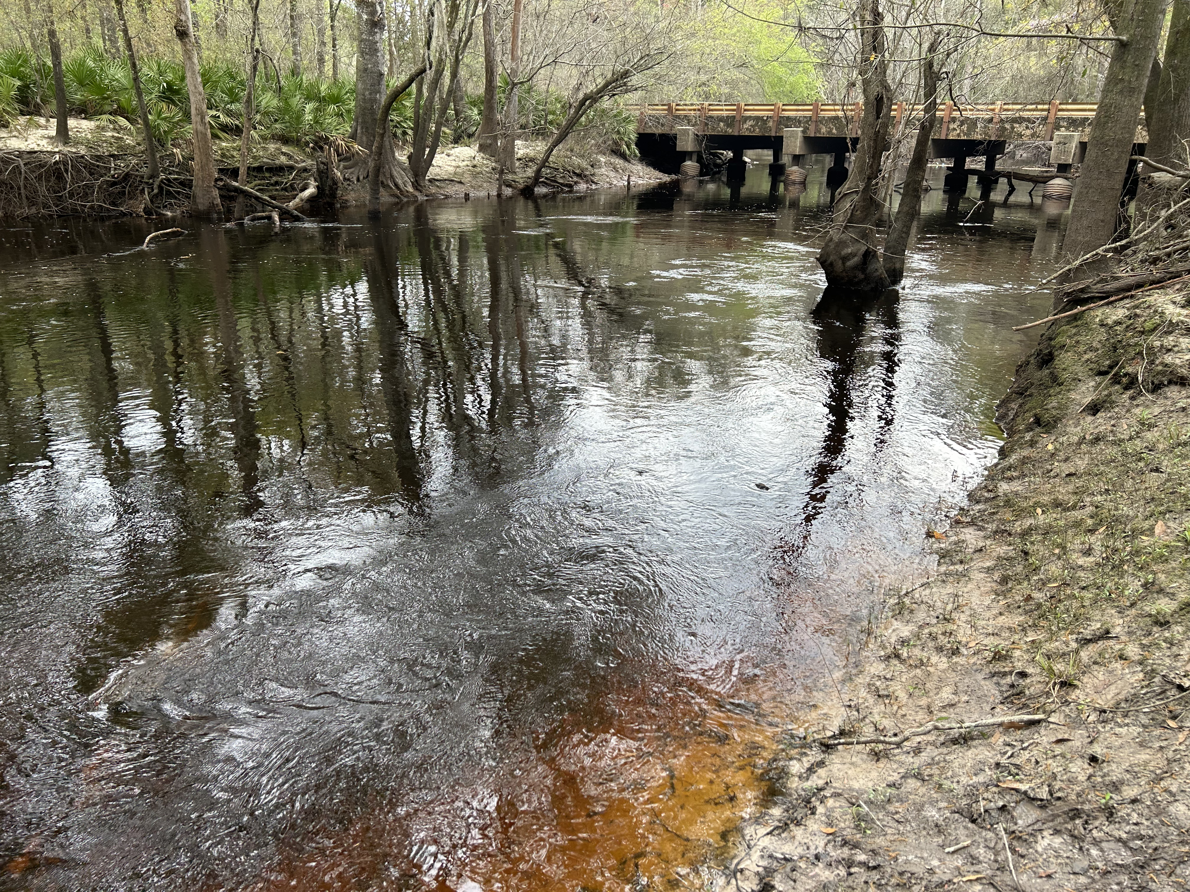 Franklinville, Withlacoochee River @ Frankinville Road 2023-03-02