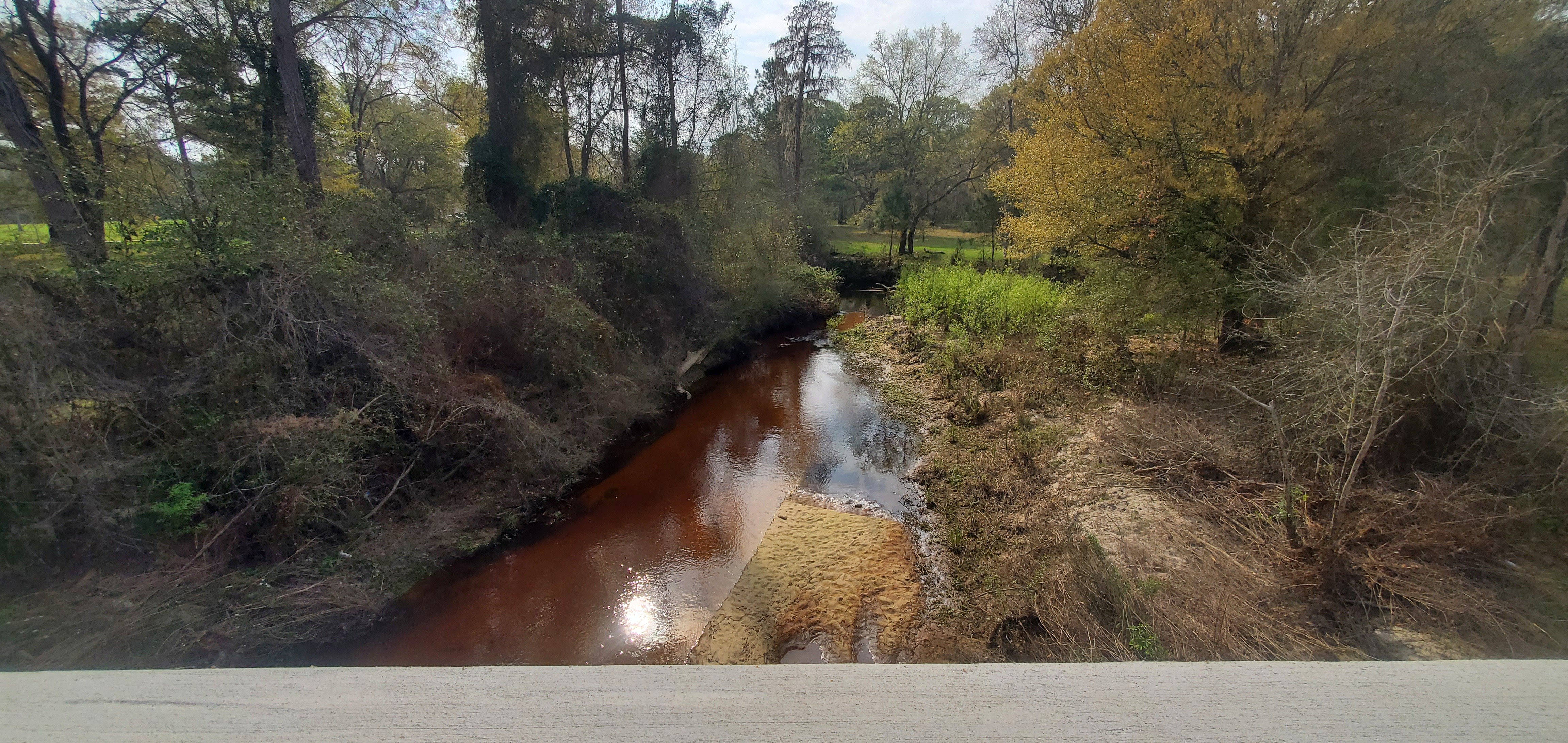 Context, Upstream, Millrace Creek, 10:01:49, 30.8469192, -83.4395957