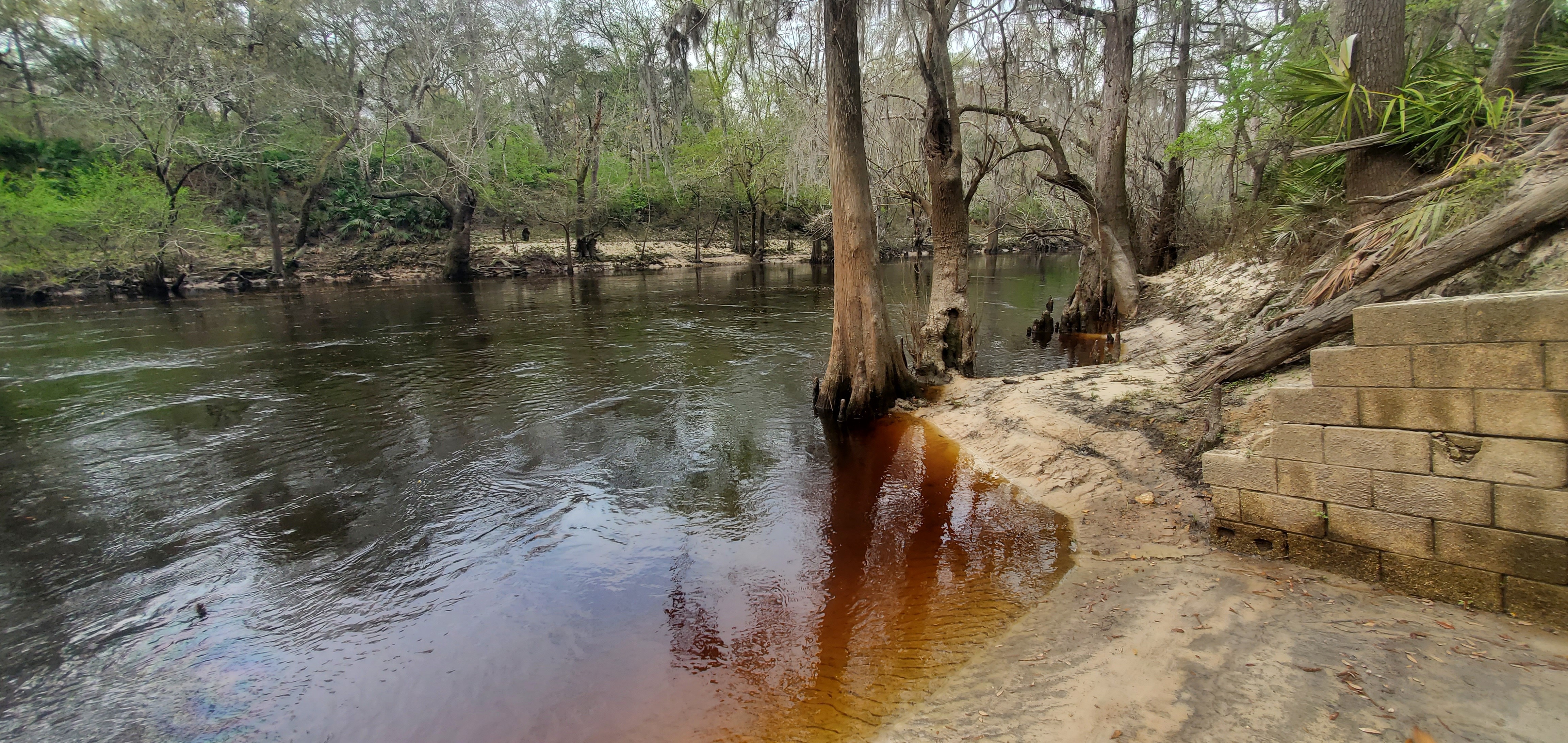 Downstream, Paul Deloach Boat Ramp, 10:20:51, 30.8379620, -83.3701206