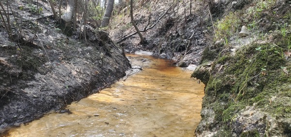 [A small creek out of Kinderlou Pond, 12:10:55, 30.8256882, -83.3964755]