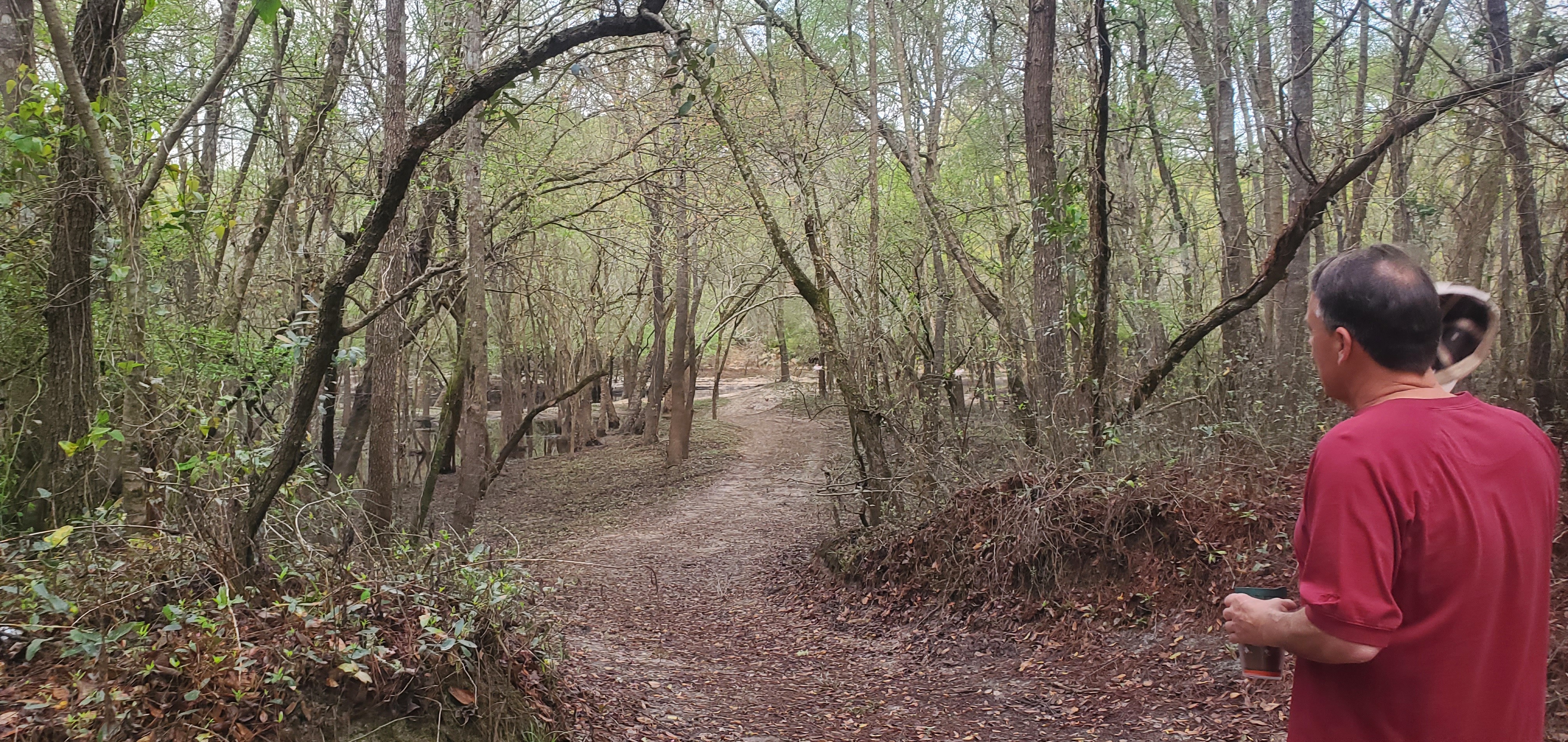 Into the woods, Troupville Nature Park, 08:53:57, 30.8497396, -83.3333480