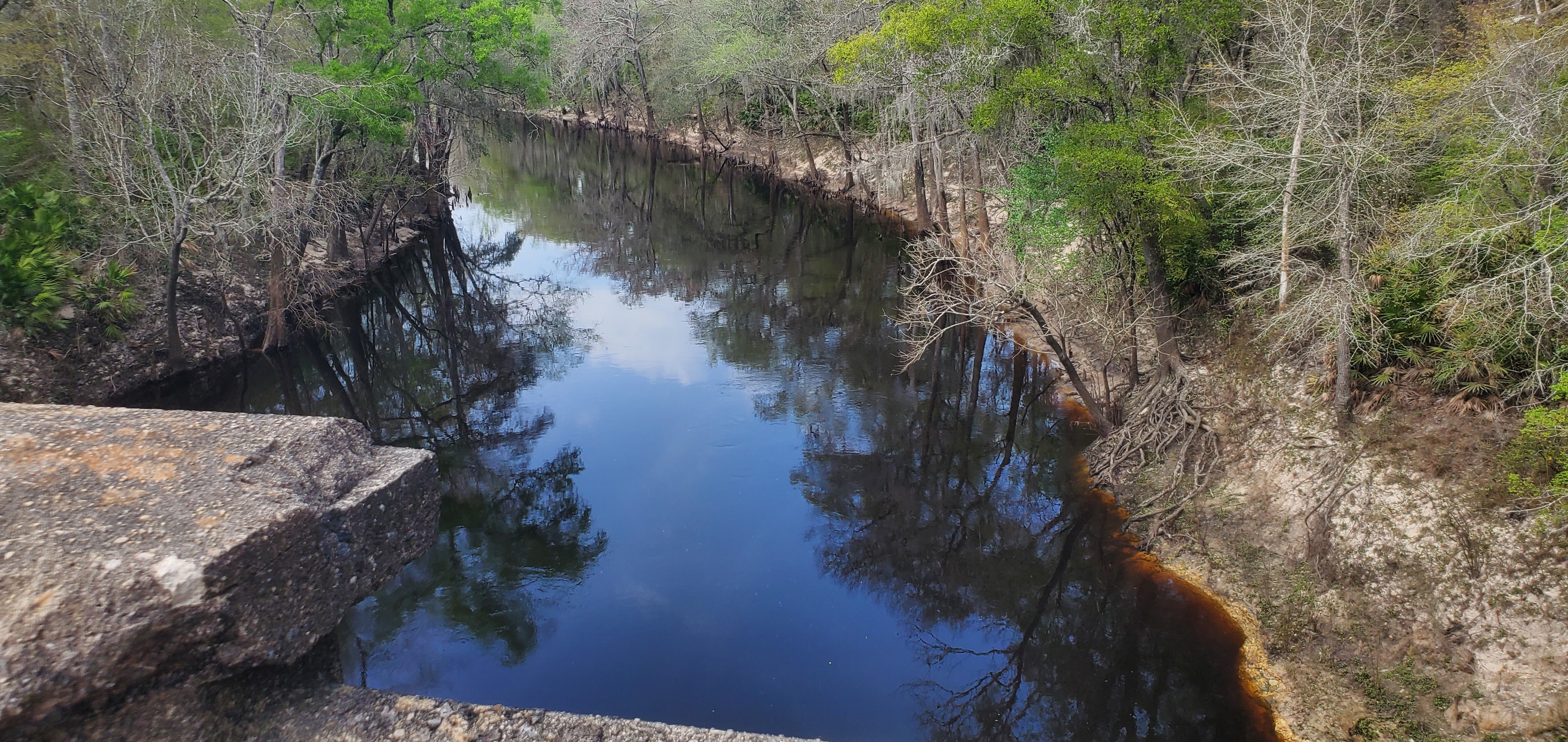 Upstream from Spook Bridge, 14:56:06, 30.7898350, -83.4516626