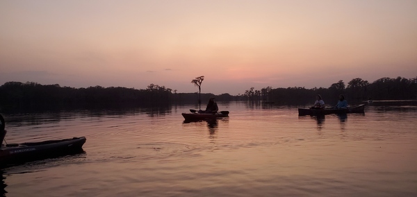 [Coral boats]