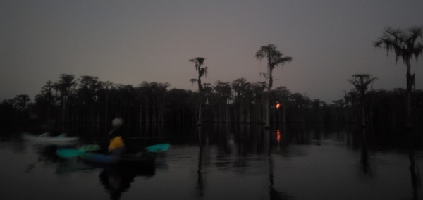 [Moonrise in cypress]