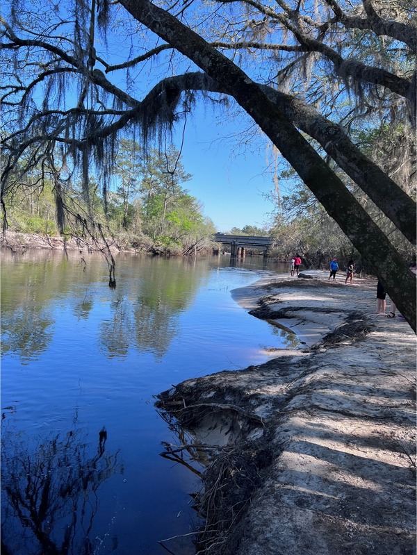 [Naylor Park Beach, Alapaha River @ US 84 2023-03-05]