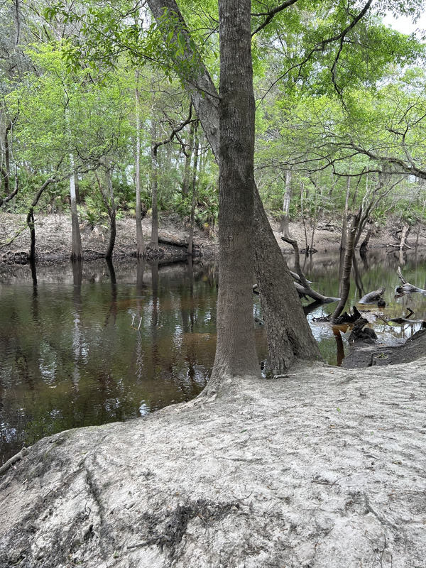 [Staten Road, Withlacoochee River @ Staten Road 2023-03-09]