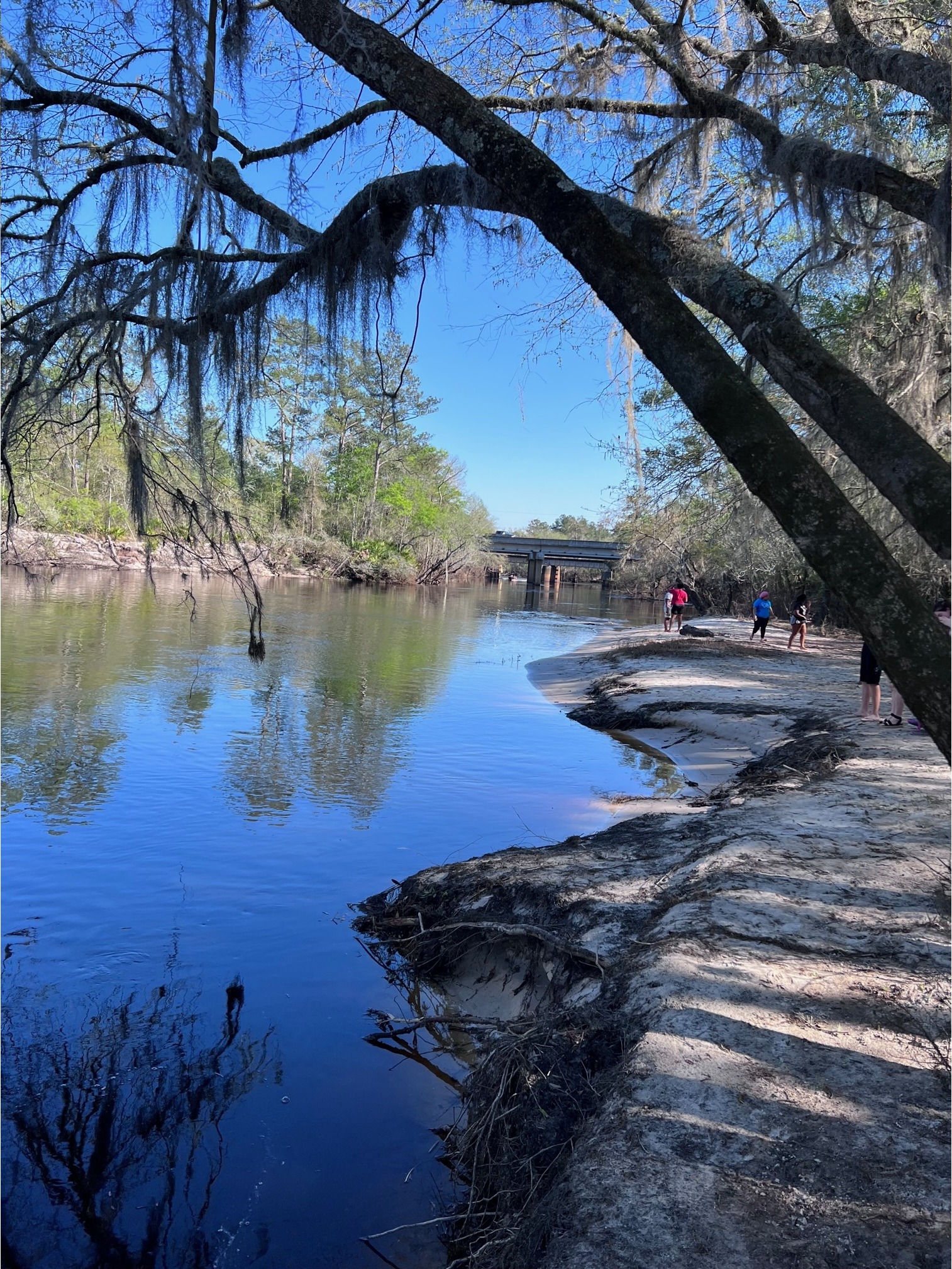 Naylor Park Beach, Alapaha River @ US 84 2023-03-05