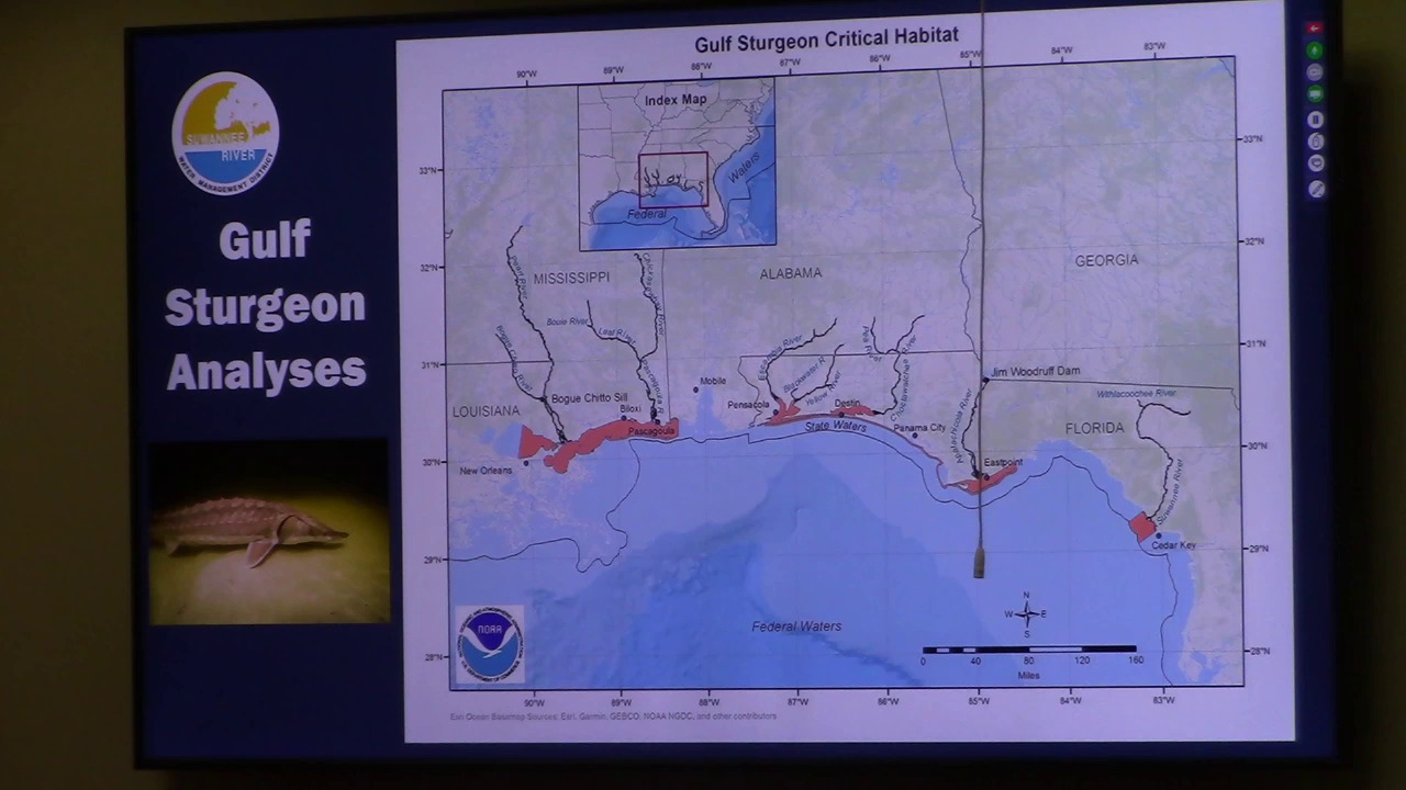 Gulf Sturgeon Critical Habitat