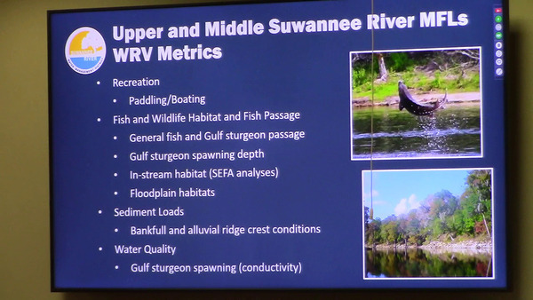 [Upper And Middle Suwannee River MFLs WRV Metrics]