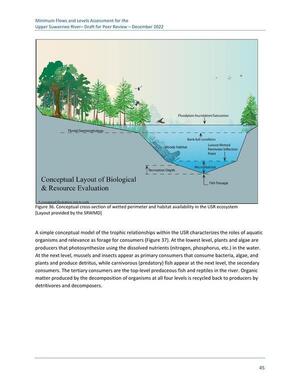 [Figure 36. Conceptual cross-section of wetted perimeter and habitat availability in the USR ecosystem [Layout provided by the SRWMD]]