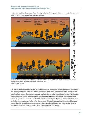 [Figure 40. Basic geomorphology of the river channel and floodplain and typical plant communities in the two ecological reaches of the upper Suwannee River study area [Source: (WRA, 2005)]]