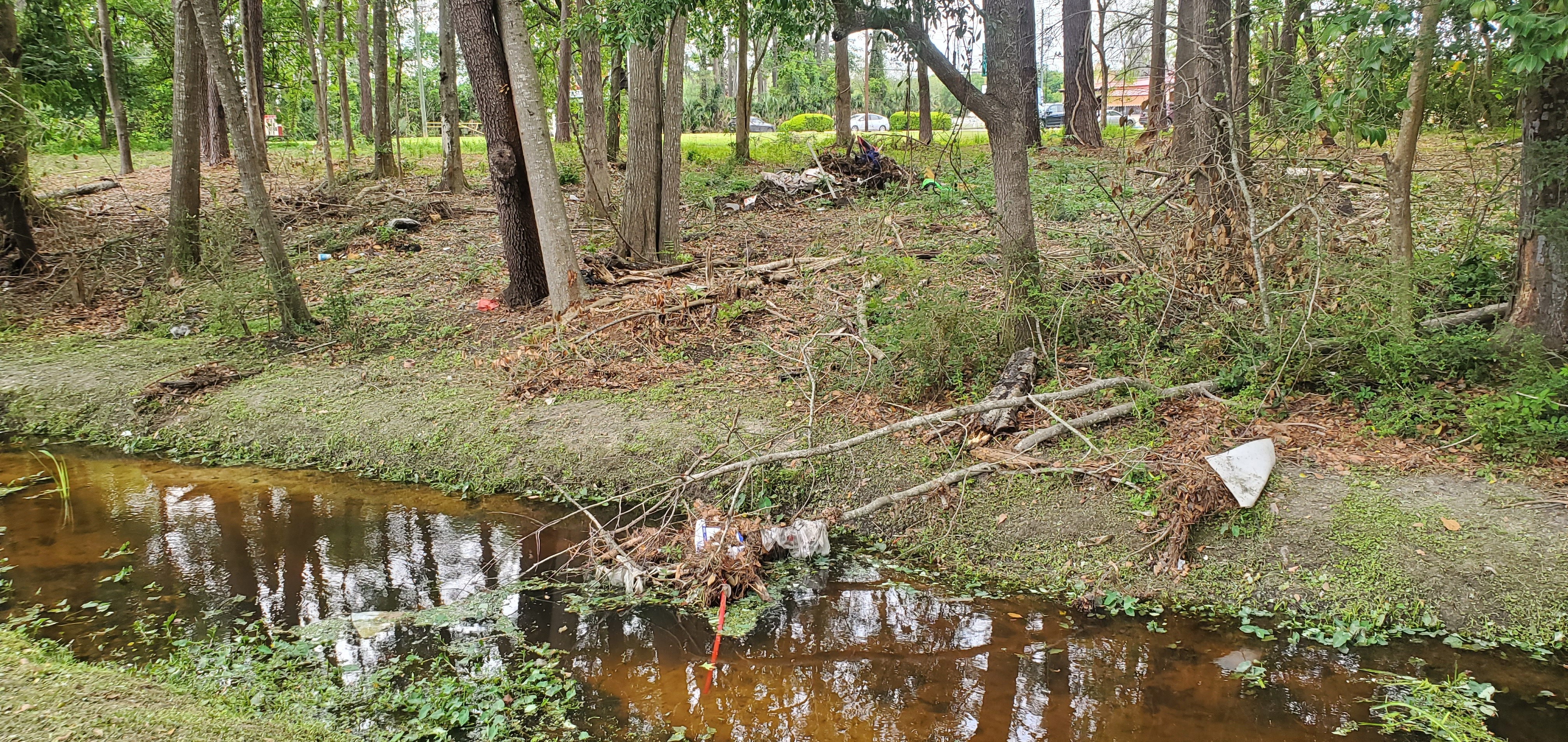 First deadfall with trash, Two Mile Branch, 2023-03-29, 15:56:59, 30.8671244, -83.2851701