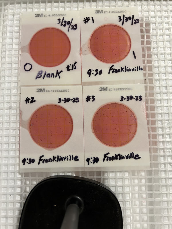 Plates, Franklinville 2023-03-30