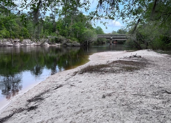 [Naylor Park Beach, Alapaha River @ US 84 2023-03-26]