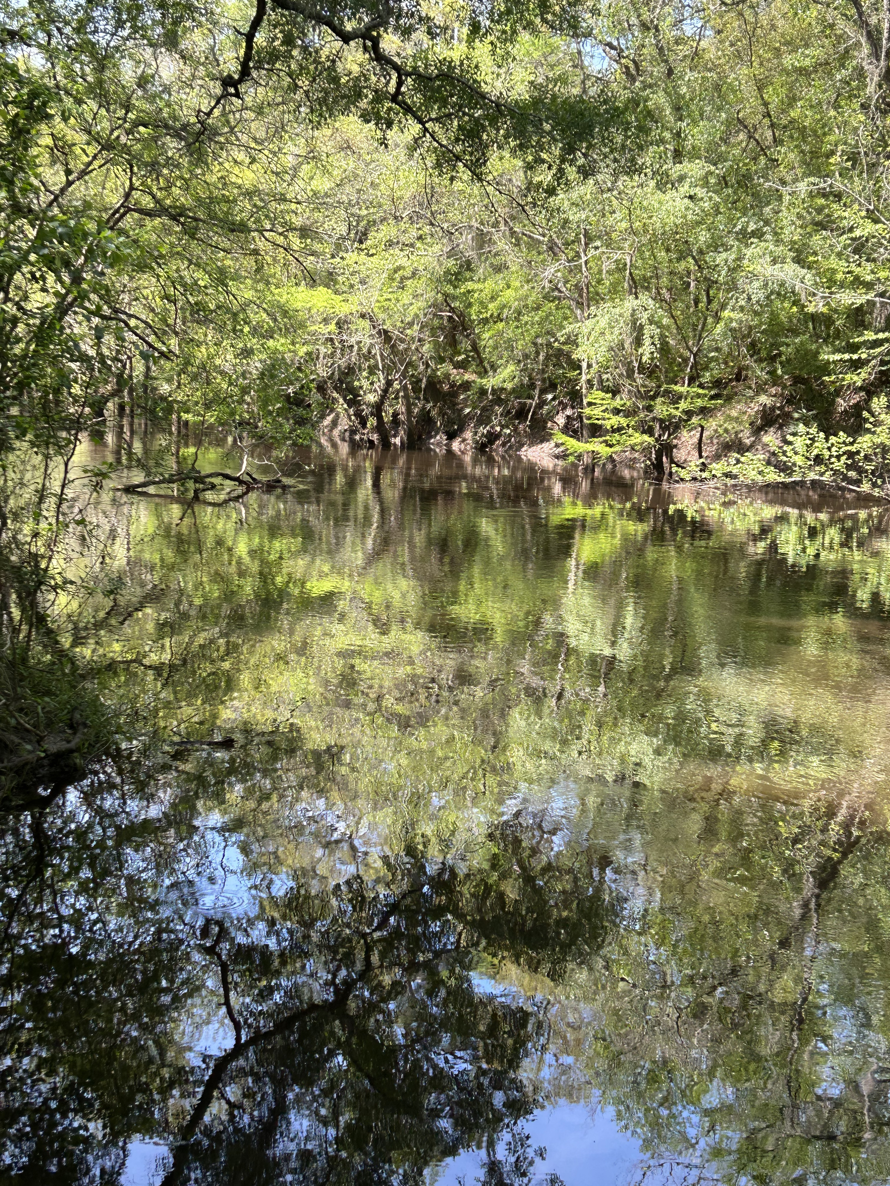 Staten Road, Withlacoochee River @ Staten Road 2023-03-30