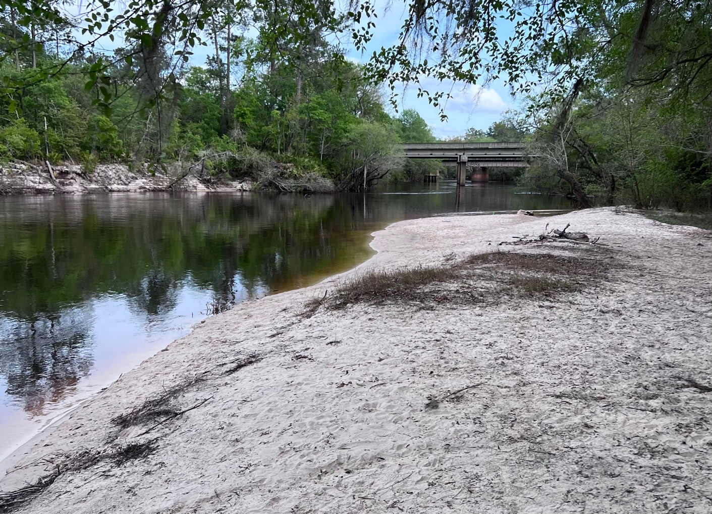 Naylor Park Beach, Alapaha River @ US 84 2023-03-26