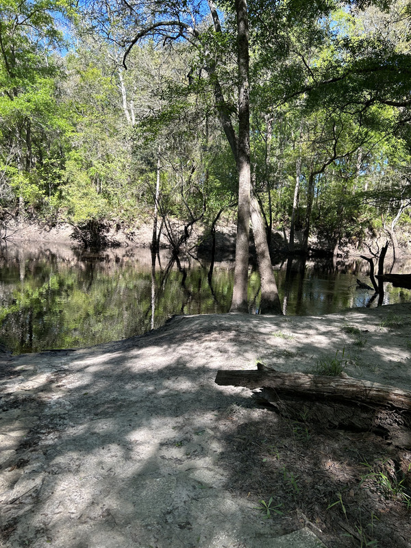 Staten Road, Withlacoochee River @ Staten Road 2023-04-06