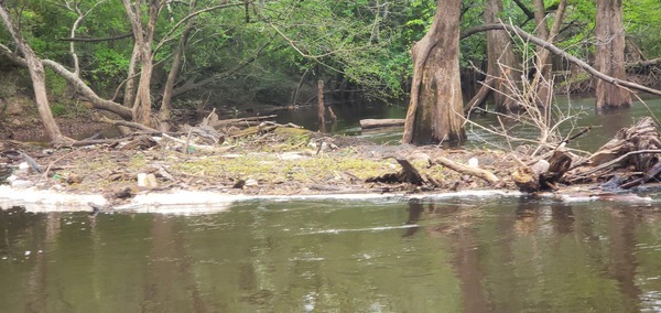 [Closeup small floating trash jam, 11:02:40, 30.6947722, -83.4422692]