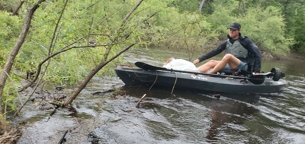 [Gee pulling sawed branch downstream, 11:38:52, 30.6901899, -83.4407045]