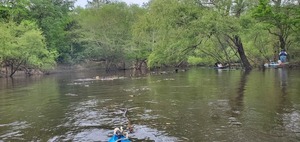 [Trash catchers downstream, 12:44:55, 30.6902748, -83.4404628]