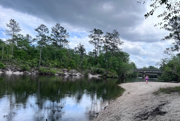 [Naylor Park Beach, Alapaha River @ US 84 2023-04-13]