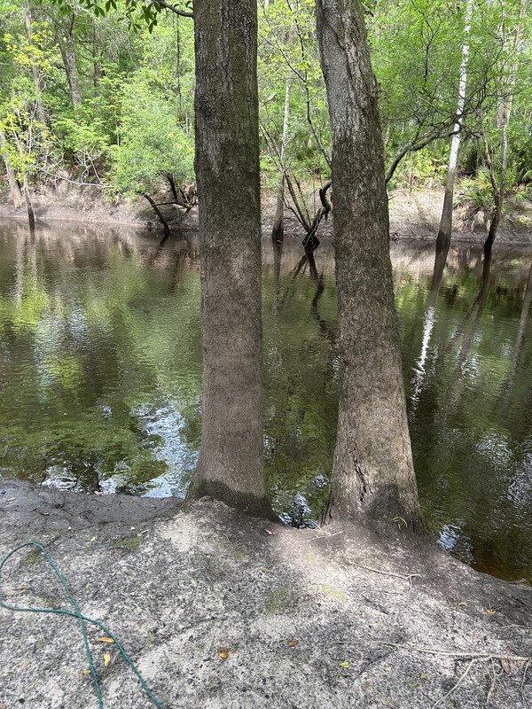 [Staten Road, Withlacoochee River @ Staten Road 2023-04-13]