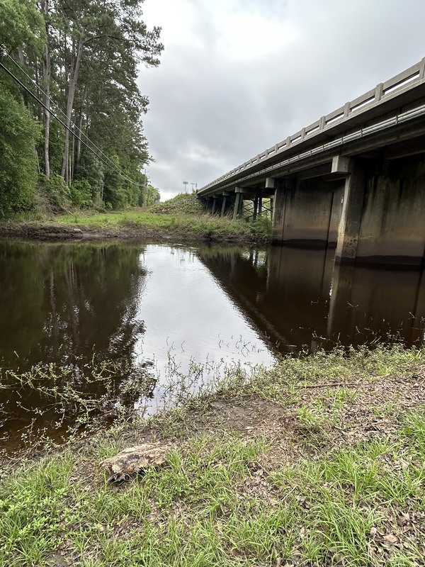 [US 41 Landing, Withlacoochee River @ North Valdosta Road 2023-04-13]