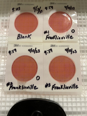 [Plates, Franklinville 2023-04-13]