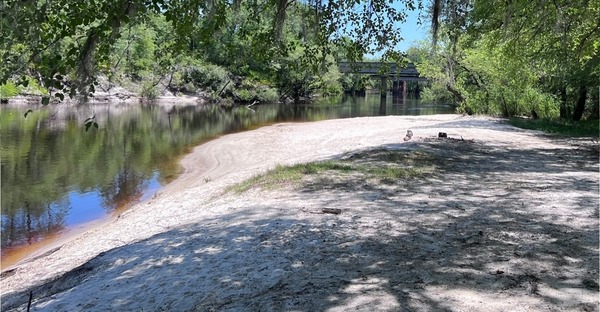 [Naylor Park Beach @ US 84, Alapaha River, 2023-04-14]