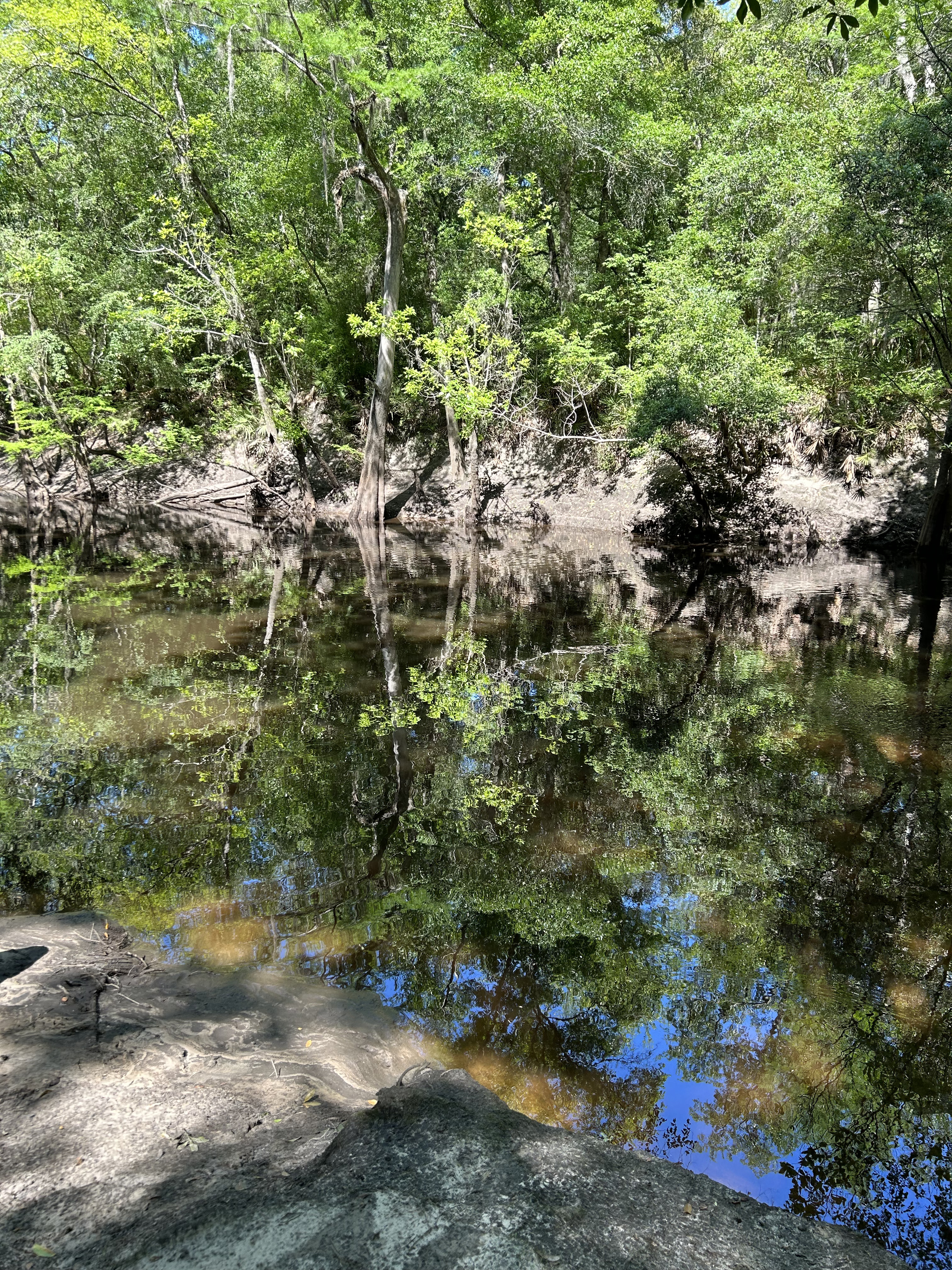 Staten Road, Withlacoochee River @ Staten Road 2023-04-20