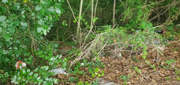 [Trash at parking lot above Hightower Creek, St. Augustine Road]