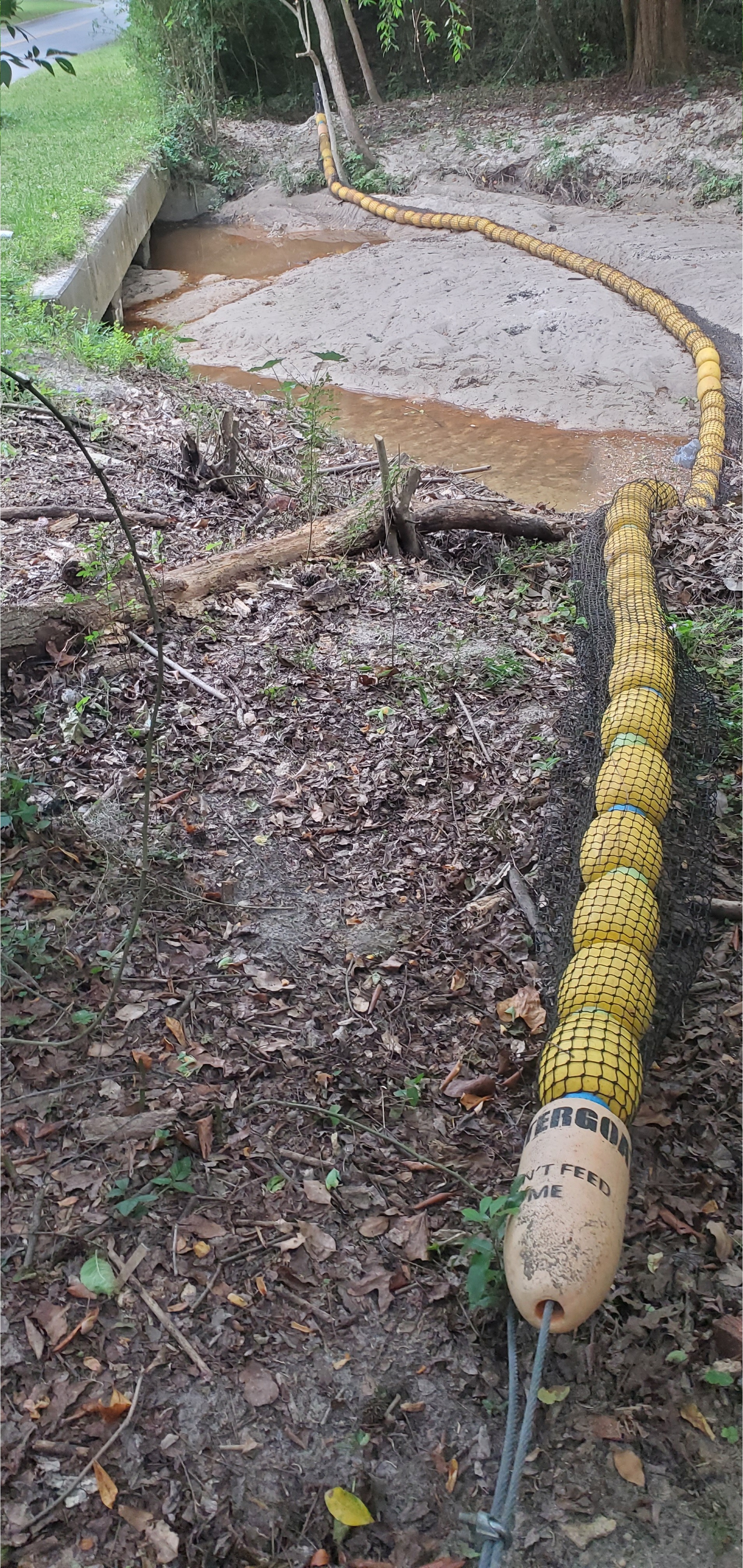 Baytree Road Watergoat, Two Mile Branch downstream