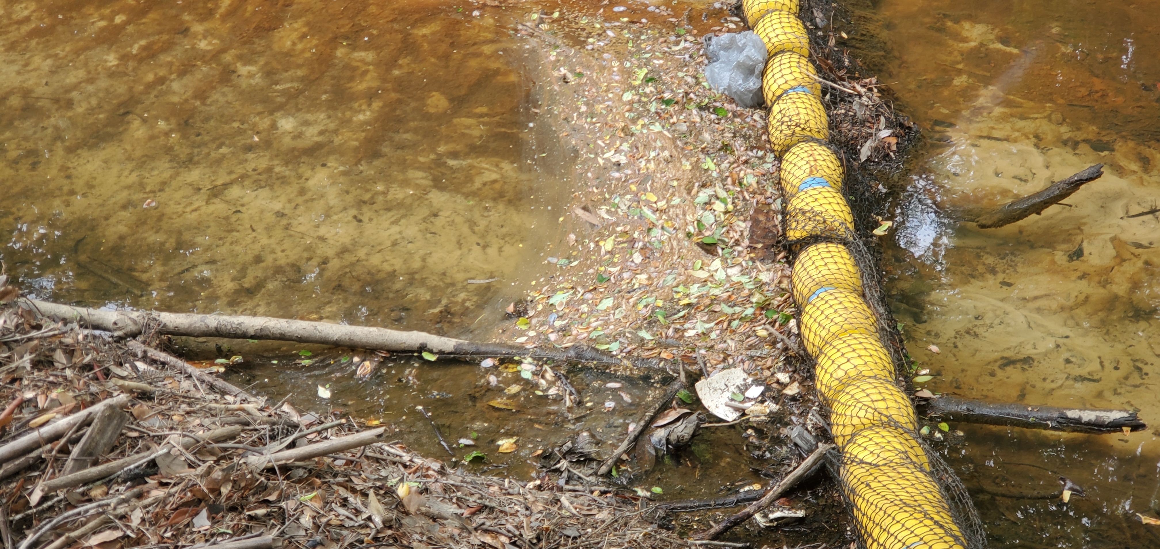 Trash in Baytree Road Watergoat, Two Mile Branch