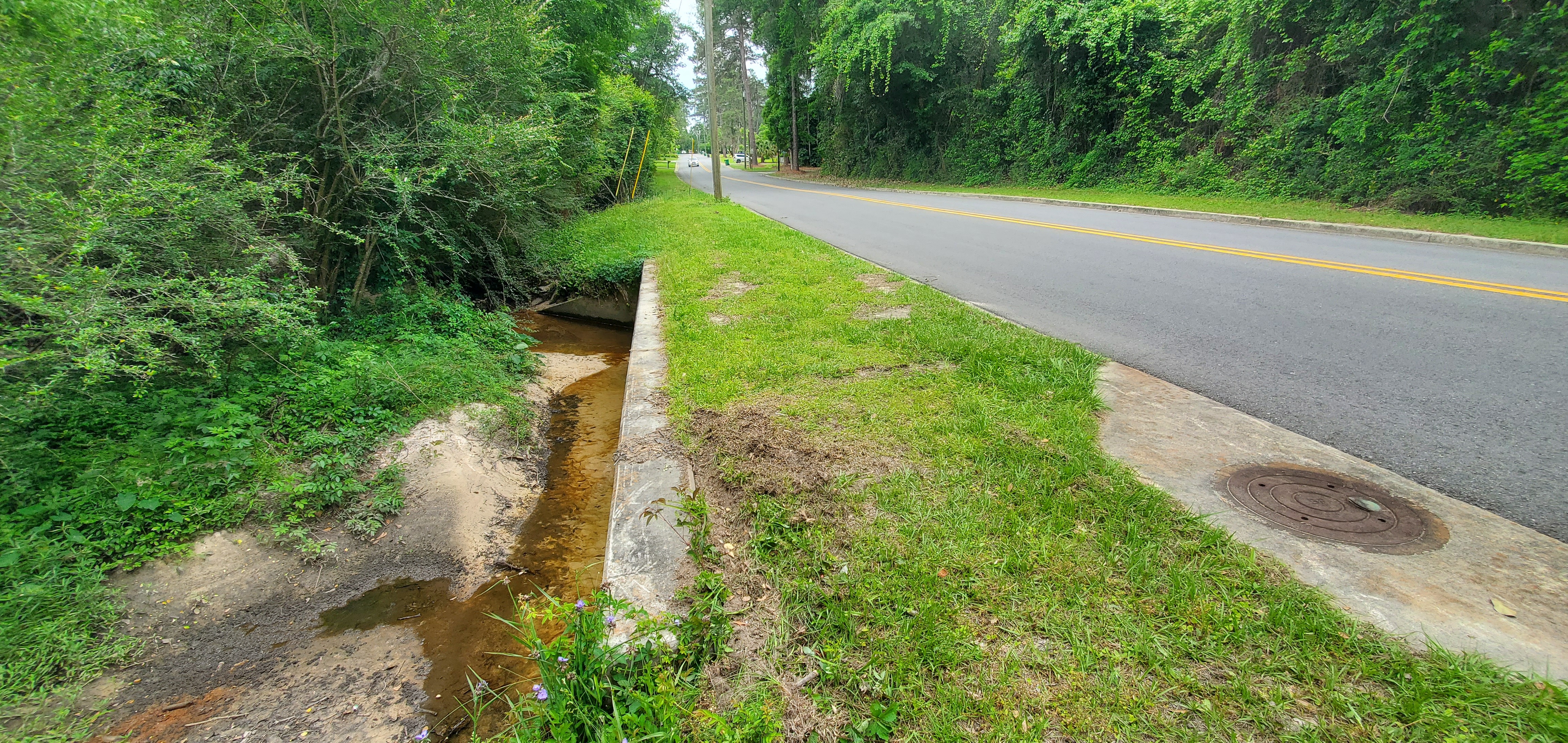 Two Mile Branch upstream at Baytree Road