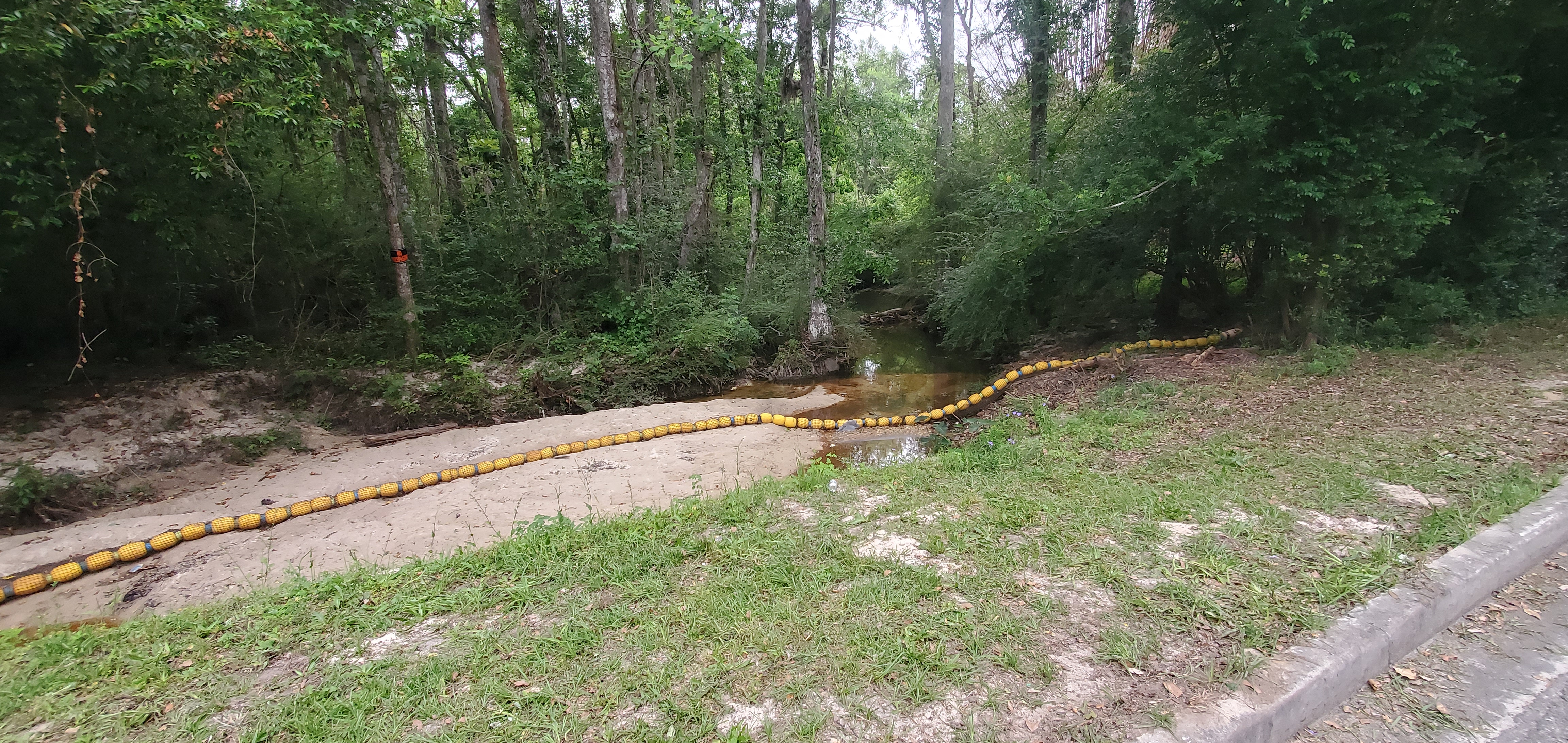 Watergoat seen from Baytree Road, Two Mile Branch