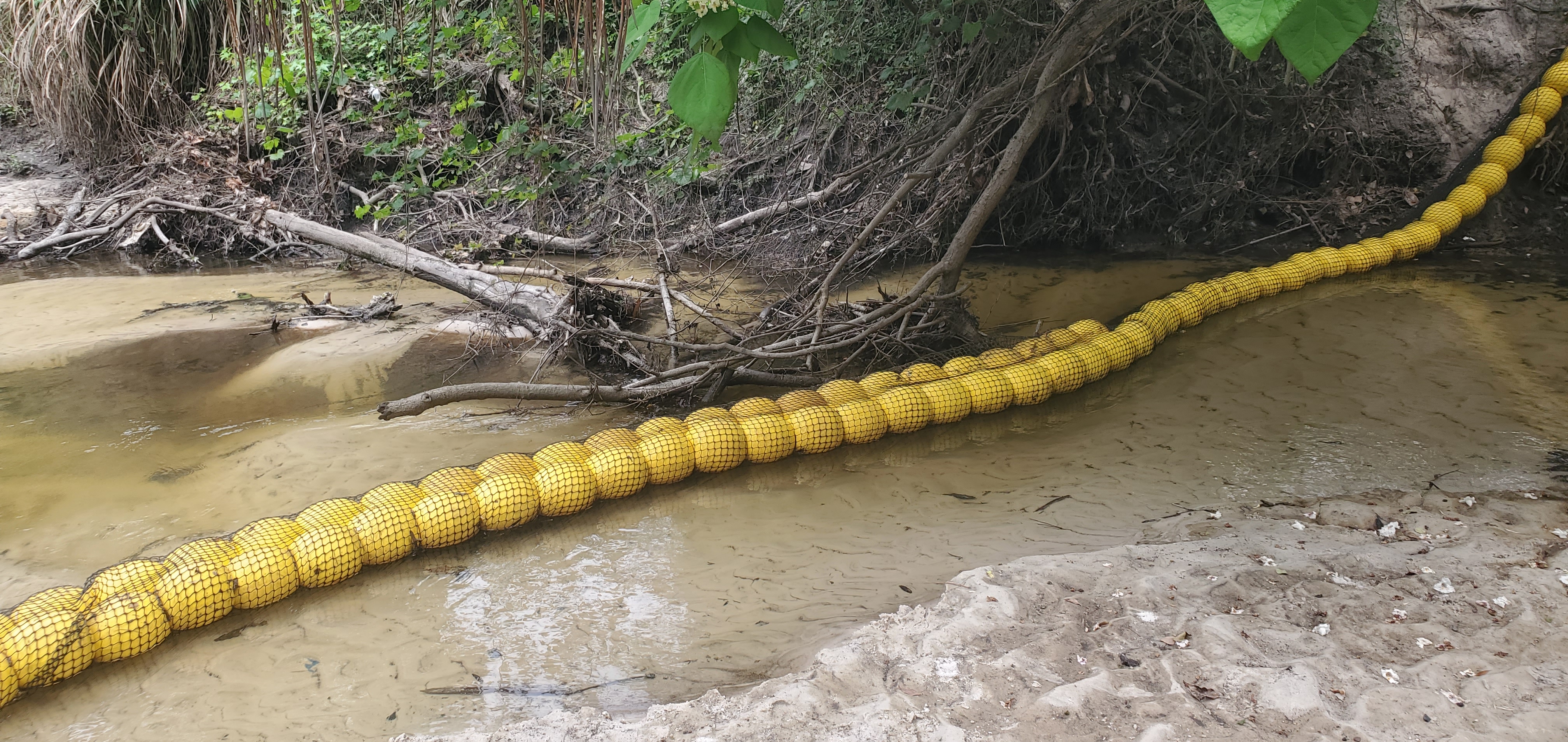 Not much trash in Sugar Creek Watergoat