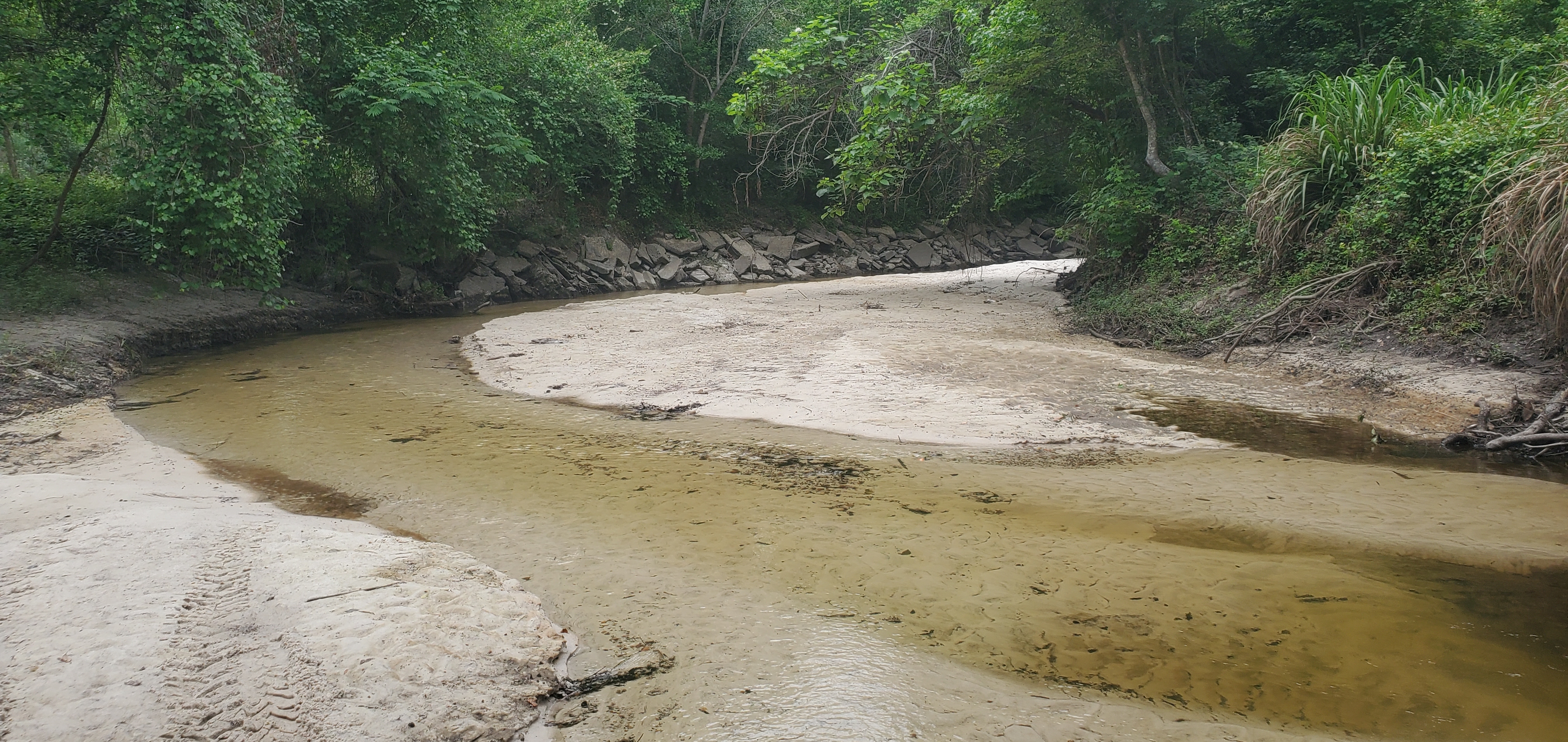 Downstream Sugar Creek