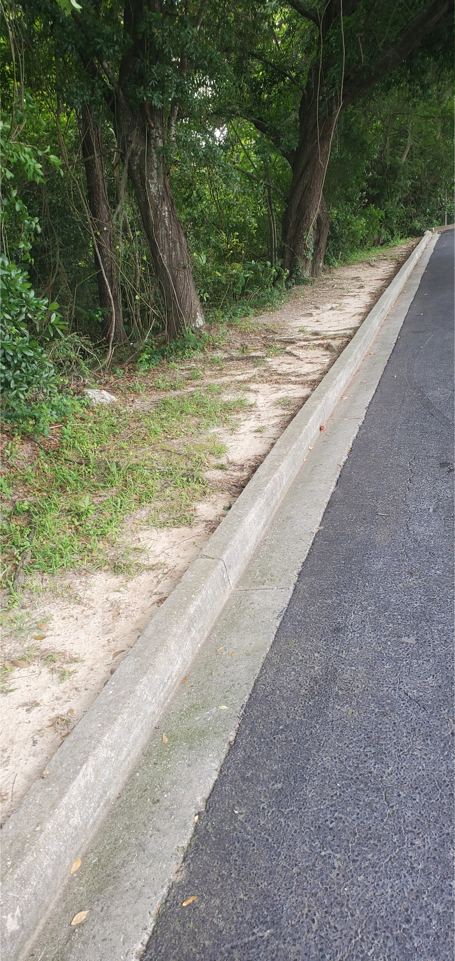 St. Augustine Road parking lot at Hightower Creek